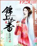 錦上添香