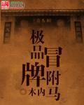極品冒牌駙馬